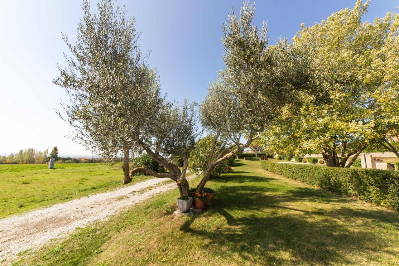 Agriturismo Bella Cima Монтеф'ясконе Екстер'єр фото