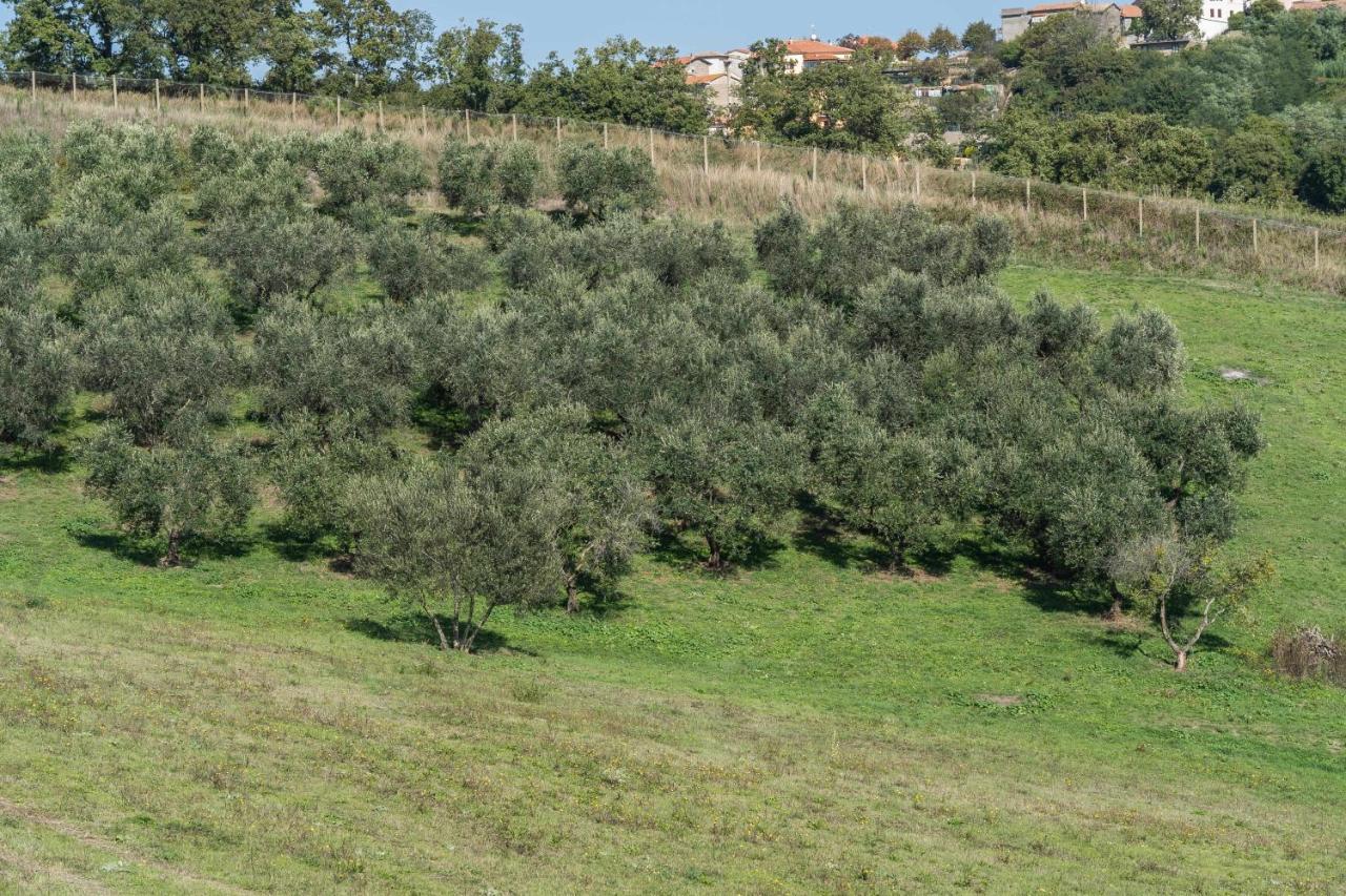 Agriturismo Bella Cima Монтеф'ясконе Екстер'єр фото