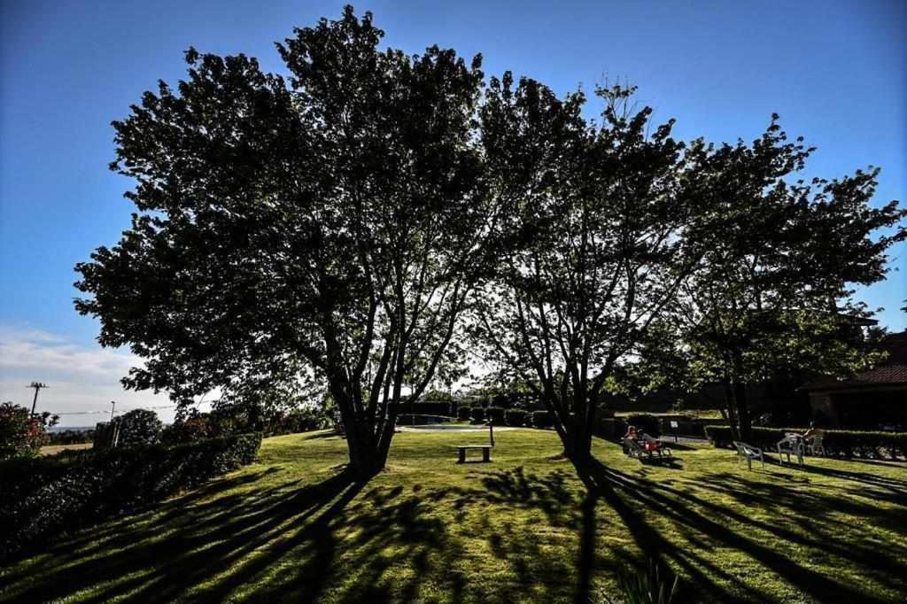 Agriturismo Bella Cima Монтеф'ясконе Екстер'єр фото